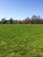 Beautiful Hyde Park in the sunshine.